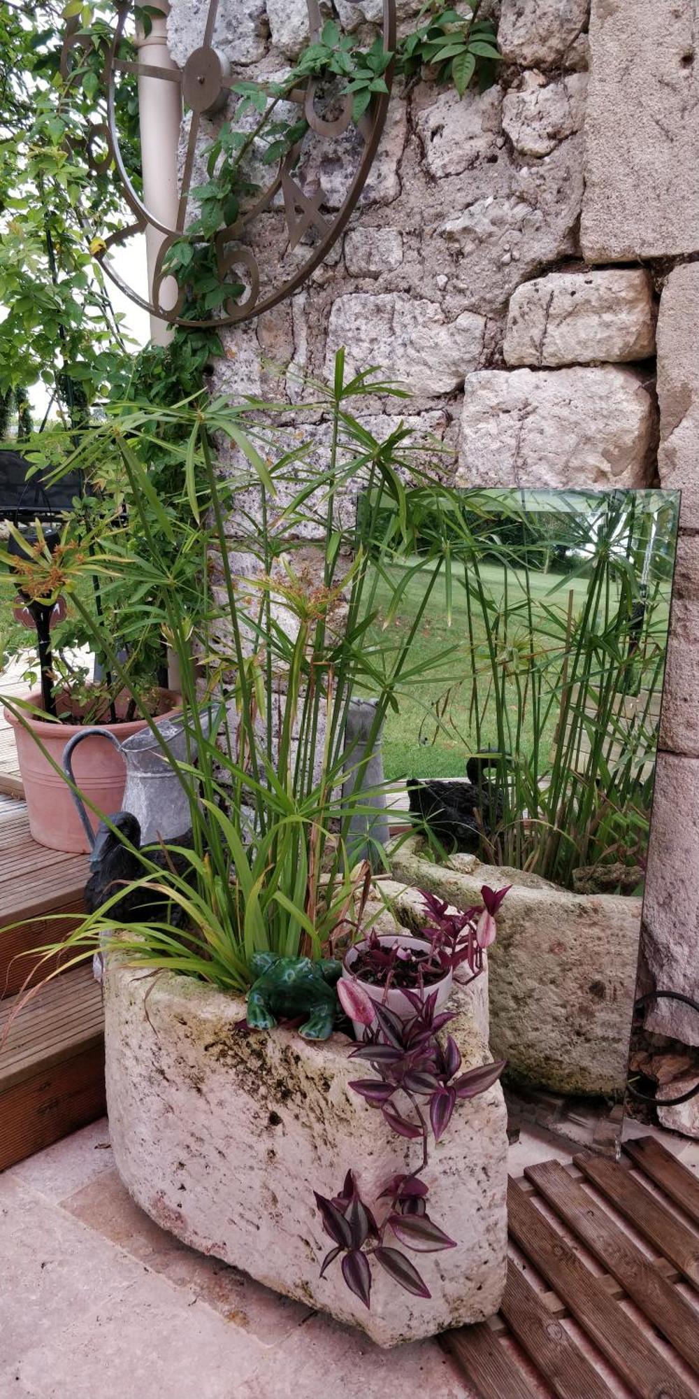Gite De La Petite Vallee Saint-Savinien 部屋 写真